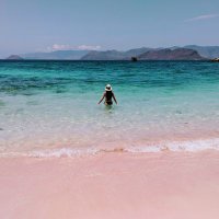 Anna (@anna) 's Twitter Profile