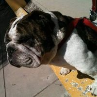 bradyoba's profile picture. 