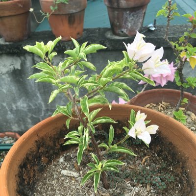 k_A_3_n_A's profile picture. full time wife/ full time businesswoman