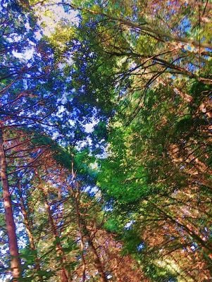 uFjTR72M03VFuf6's profile picture. 心で思ってることをつぶやいてます
あたたかい目でみてください