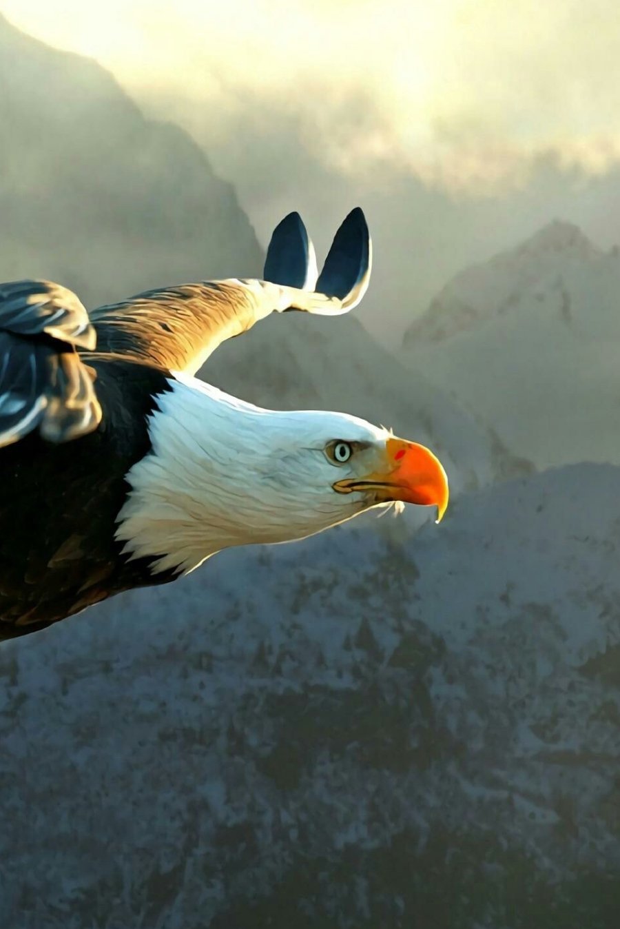 Cr7Rival3711's profile picture. 