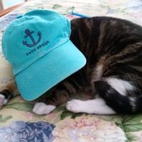 KWCC (@kw7of8cc) 's Twitter Profile