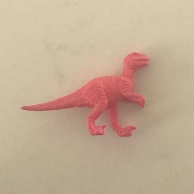 pink plastic dinosaur