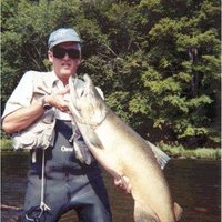 Steve Caporizzo (@stevecaporizzo) 's Twitter Profile Photo