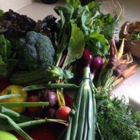 lady cook (@badpicgoodfood) 's Twitter Profile Photo