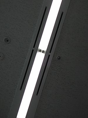 keikoutouhahaha's profile picture. 蛍光灯