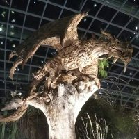 tomo (@friend_happines) 's Twitter Profile Photo tomo (@friend_happines) 's Twitter Profile Photo