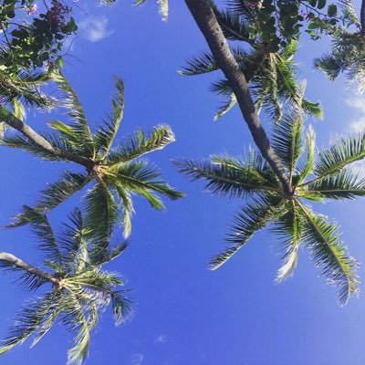 Miss_MauiLove's profile picture. 