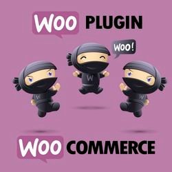 Download the most popular GPL-licensed WooCommerce Extensions