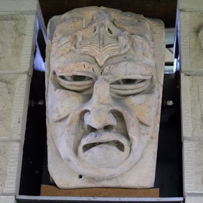 super_dan_pars's profile picture. Professional lion tamer.  Lions tamed to order, apply within...