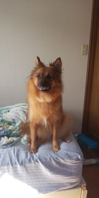 af400Cn3Ug3OpCa's profile picture. 夜職、昼職、不動産紹介😺資金調達や権利収入等多数の事やってます🙉気になる方いたら、気軽に連絡下さい🙇
連絡いただければ、対応させてもらいます❗️また、飲みも大好きです😌