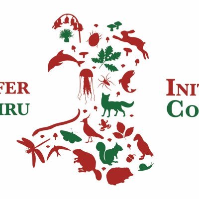 INCCymru Profile Picture