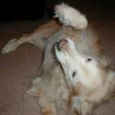 John Versluis - @jversluis - Twitter