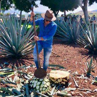 Luis_Alberto_'s profile picture. Benito Juárez Owner & CEO