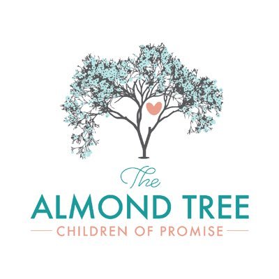 TheAlmondTreeSA's profile picture. We Rescue, Restore and offer Hope to abandoned, orphaned and abused babies and children. #TheAlmondTreeSA #ChildrenofPromise