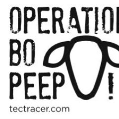 Operation Bo Peep