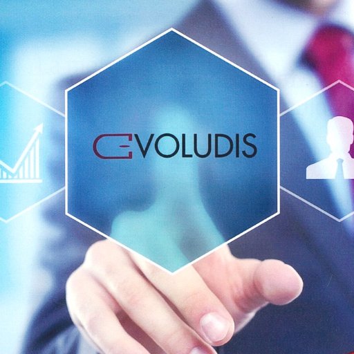 Evoludis est un réseau de conseillers en pilotage d’entreprise dans le secteur de la TPE depuis 2002.