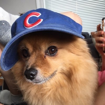 NickWesman's profile picture. No regrets, that's my motto. That, and 'Everybody wang chung tonight.' Non-practicing Pastafarian