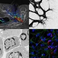 PenningerLab (@penningerlab) 's Twitter Profile Photo PenningerLab (@penningerlab) 's Twitter Profile Photo