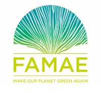 FAMAE Challenge (@famaechallenge) 's Twitter Profile