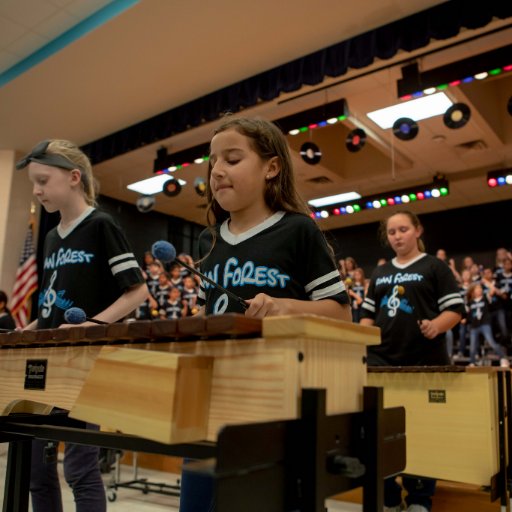 The Roan Forest Music Department strives to provide the students of our school with the highest quality musical experience. Thanks for checking us out.