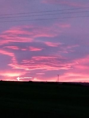 catd663's profile picture. Never try to teach a pig to sing....It annoys the pig and wastes your time!!!