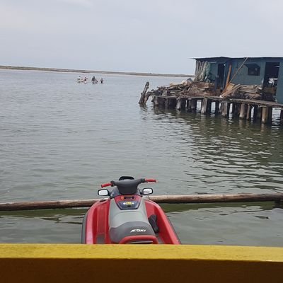 agusti_cc's profile picture. Live & let Live