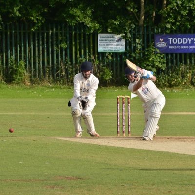 AndyShandy135's profile picture. 