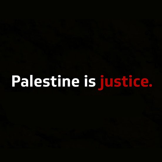 Your education and advocacy toolbox to advance justice for Palestine.