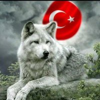 MADLİSANLİ ☪ AŞIKKATİP(@mehmetadlisanli) 's Twitter Profile Photo