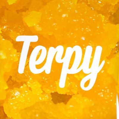 terpy5's profile picture. 