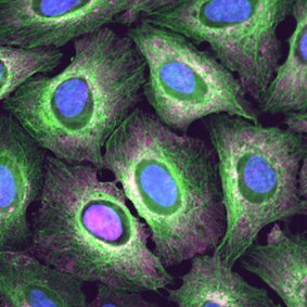 ExMicroscopy's profile picture. 