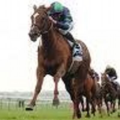 Hexham Tips