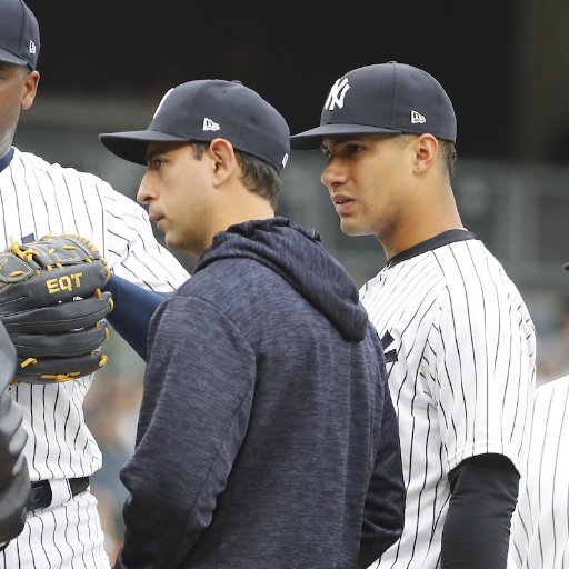 Spanish Interpreter and Media Relations Coordinator for the New York Yankees.