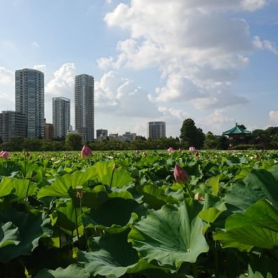ひみとなさんのプロフィール画像