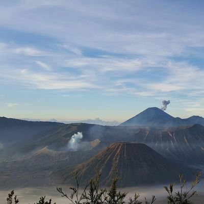 gunawandvd's profile picture. …..