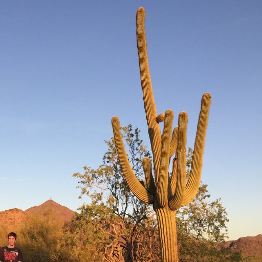 MB_LIT_84's profile picture. 