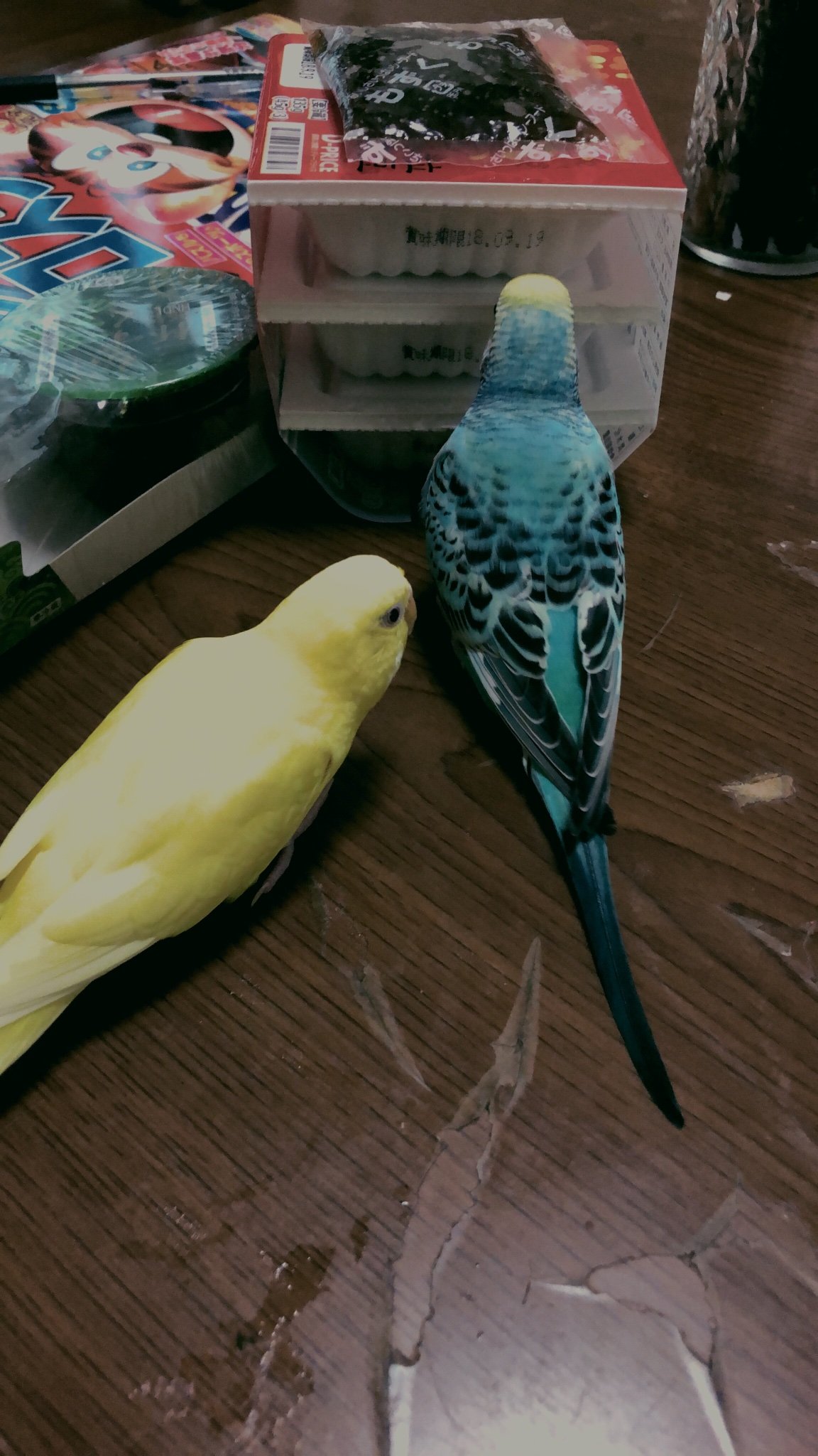 mikari_na02's profile picture. 