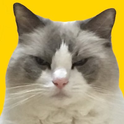 スコ兄弟アルニコさんのプロフィール画像