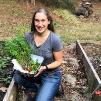 Ladybirdfarm (@ladybirdfarms) 's Twitter Profile