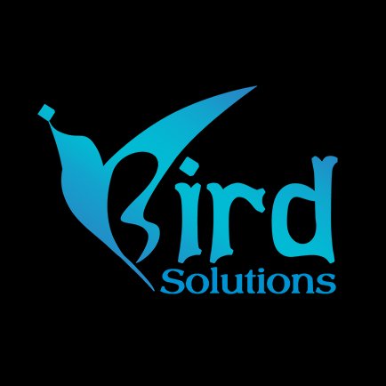 iBird Solutions provide #WebDesign, #WebDevelopment #DigitalMarketing Services. #SEO #SEM #SMO #SME #PaidMarketing