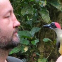 Tomas Albrecht (@tom_alb1) 's Twitter Profile