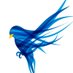 Blue Finch Films (@BlueFinchFilms) Twitter profile photo