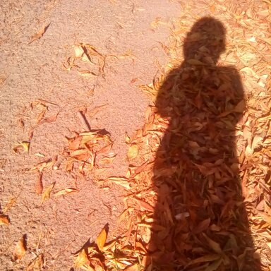 Bigosemwa's profile picture. 