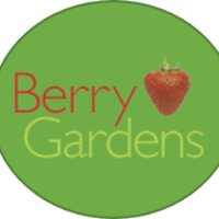 Berry Gardens Ltd(@berrygardensltd) 's Twitter Profile Photo