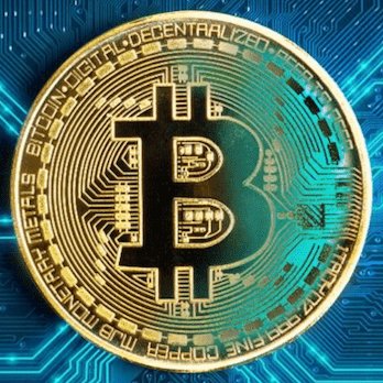 cryptodb_io's profile picture. 