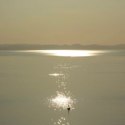 fotografia_rg's profile picture. Fotografo