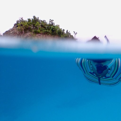 Científica ambiental🤿📷 Puertorriqueña🇵🇷Caribeña