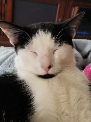 Sandbeachy's profile picture. Wife, mother and animal lover. I believe in global warming and the future of this planet and all who inhabit it. #BlueWave #Resist