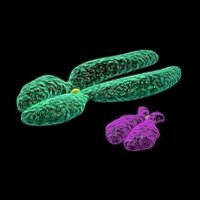 Turner Lab (@lab_turner) 's Twitter Profile Photo Turner Lab (@lab_turner) 's Twitter Profile Photo